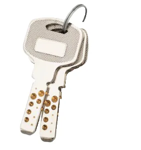Paris Lock (Computer Dimple Key)